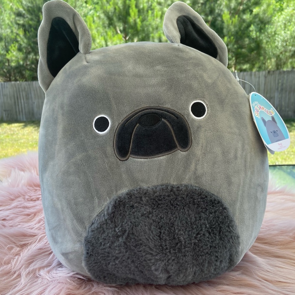 12" Regz the Bulldog Squishmallow, new with tags squishmallows